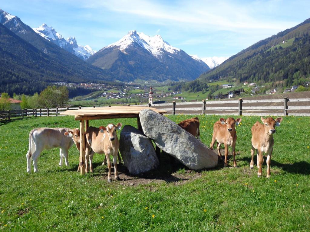 Séjour à la ferme Schottenhof *